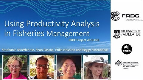 Using Productivity Analysis in Fisheries Management