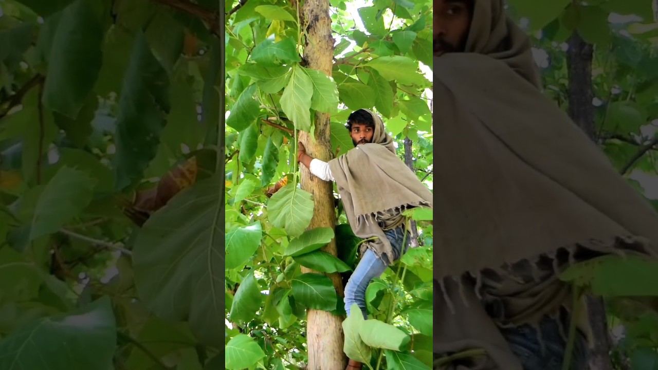 bhutiya story shooting 