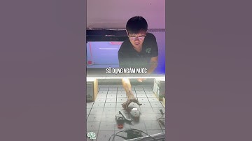 Đèn D35 POM Zako Sáng Như Thế Nào | Đèn POM Zako