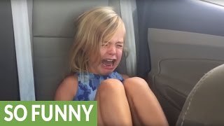 Dad Solves Mystery Of Who Cut The Dogs Hair