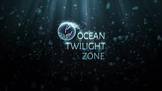 Updated Mesobot Provides Stunning Twilight Zone Ocean Footage | Nautilus Live