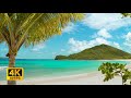 4K Tropical Beach view in the Caribbean - Palm Trees, Ocean Sounds, Waves, White Noise