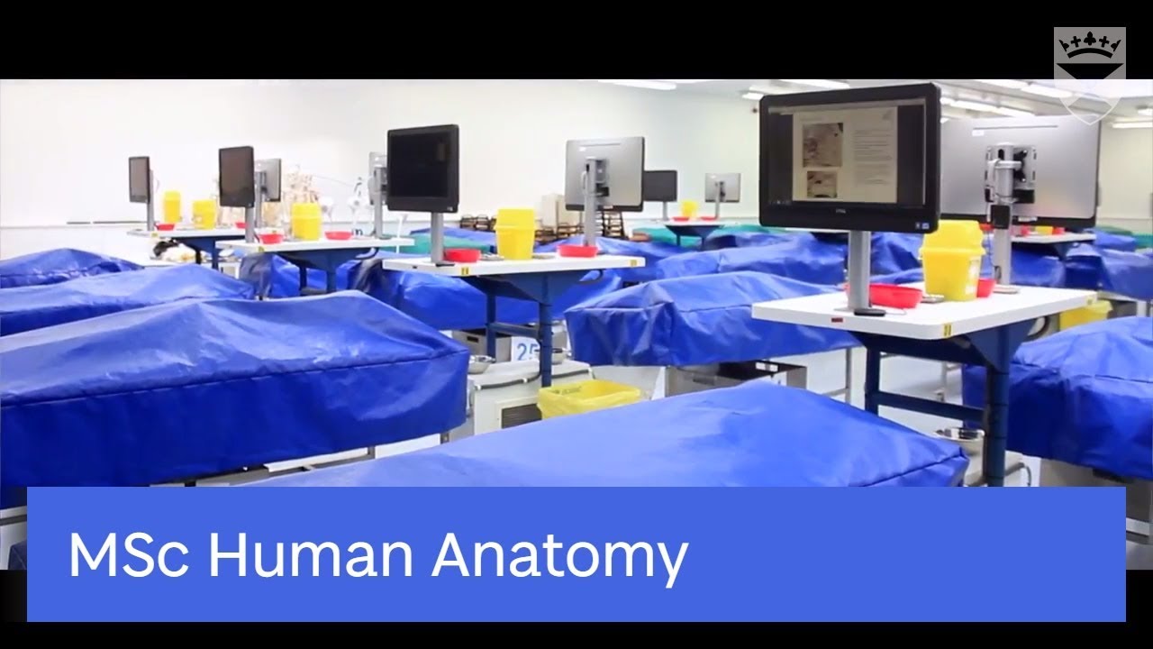 Study our MSc Human Anatomy YouTube