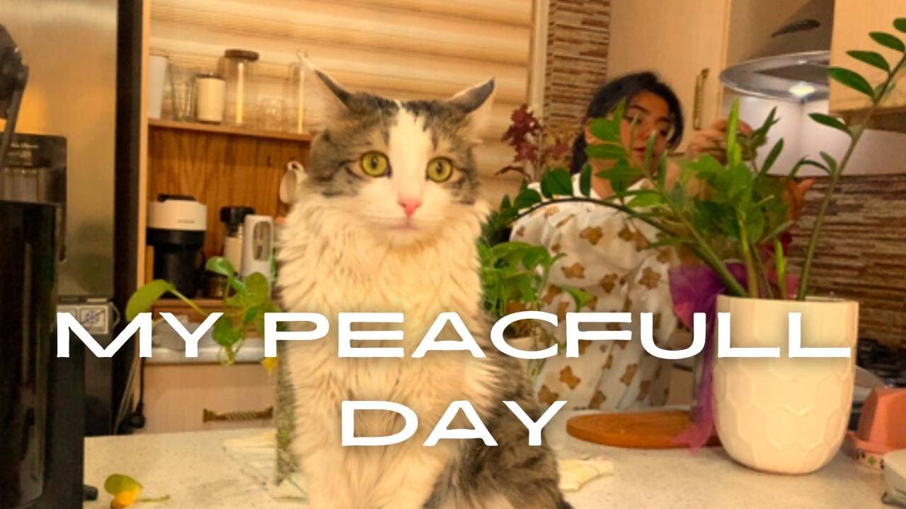 Back to my Tiny Rituals That Make My Day Peaceful🍃🍋 l  Mindful Lifestyl☺