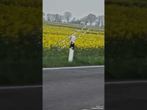 نمشي ولا نعلم خفايا المقادير يالله عسى في غيب الأيام خيره