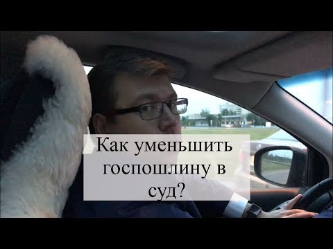 Уменьшение госпошлины в суд: рассрочка, освобождение, юридическая консультация, адвокат