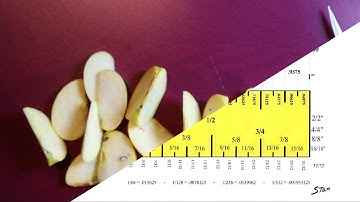 Understanding the inch and its fractions,  converting it to 100th