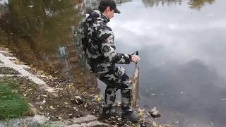 Рыбалка на пруду. MY-FISHING.RU