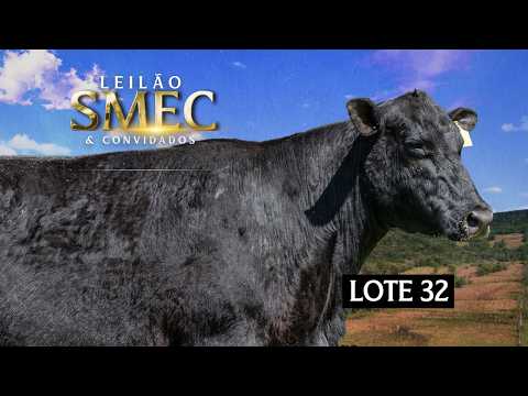 LOTE 32 - Vaca - SOLDERA TE6244 CANYON RESOURCE