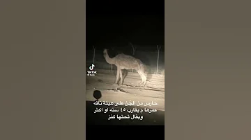ظهور الجن على هي ات ناقه 