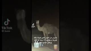 ظهور الجن على هي ات ناقه😱😱👻👽