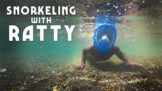 Snorkelen met Ratty! Plantain Garden River, Jamaica