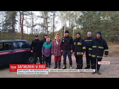 У лісі на Рівненщині вночі заблукали двоє бабусь, які пішли збирати журавлину
