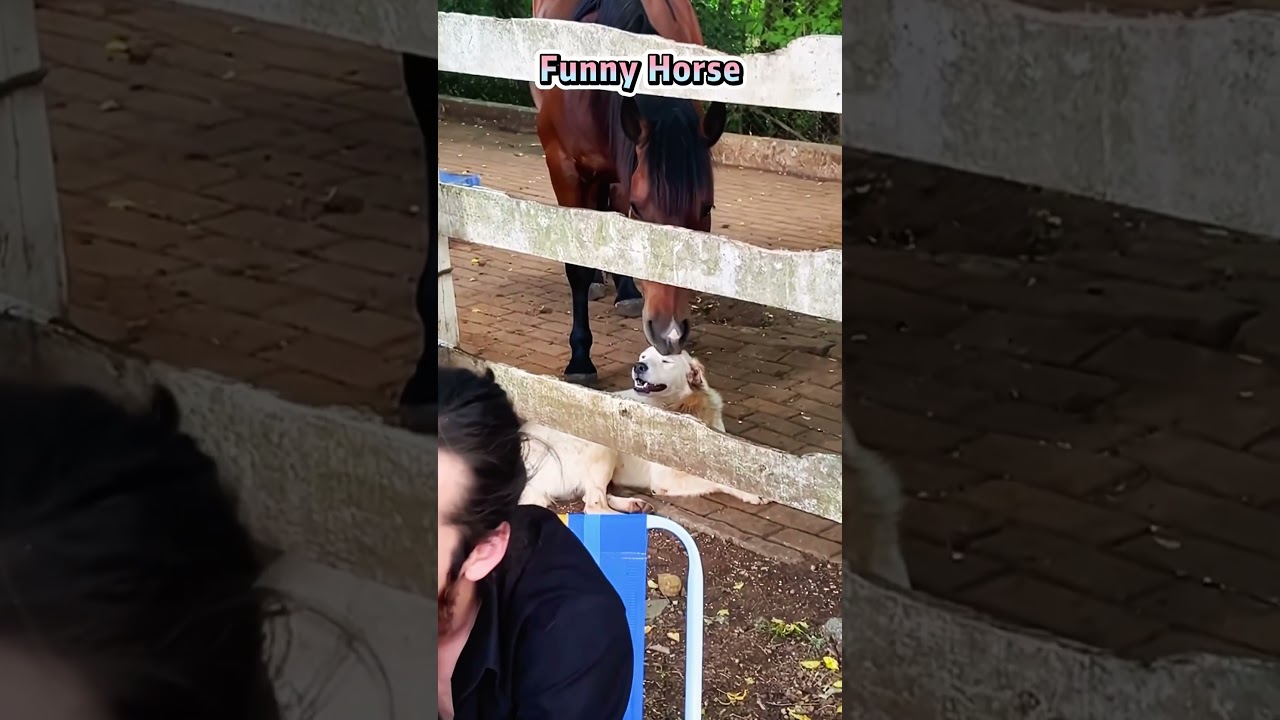 Лошади против других животных 