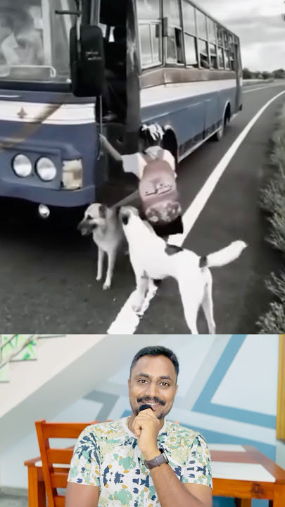 முடிஞ்சா என் செல்லத்து மேல கைய வையுங்கடா😇 #ktr #dog #pets #love #care #shortsviral #video #ktr