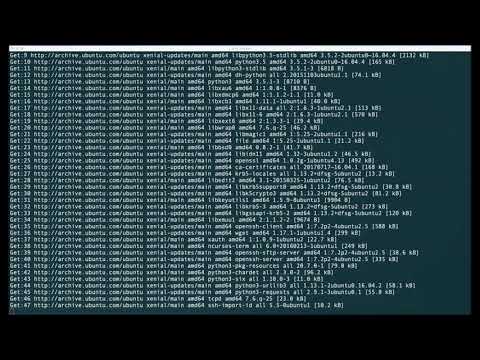 Mastering Docker -