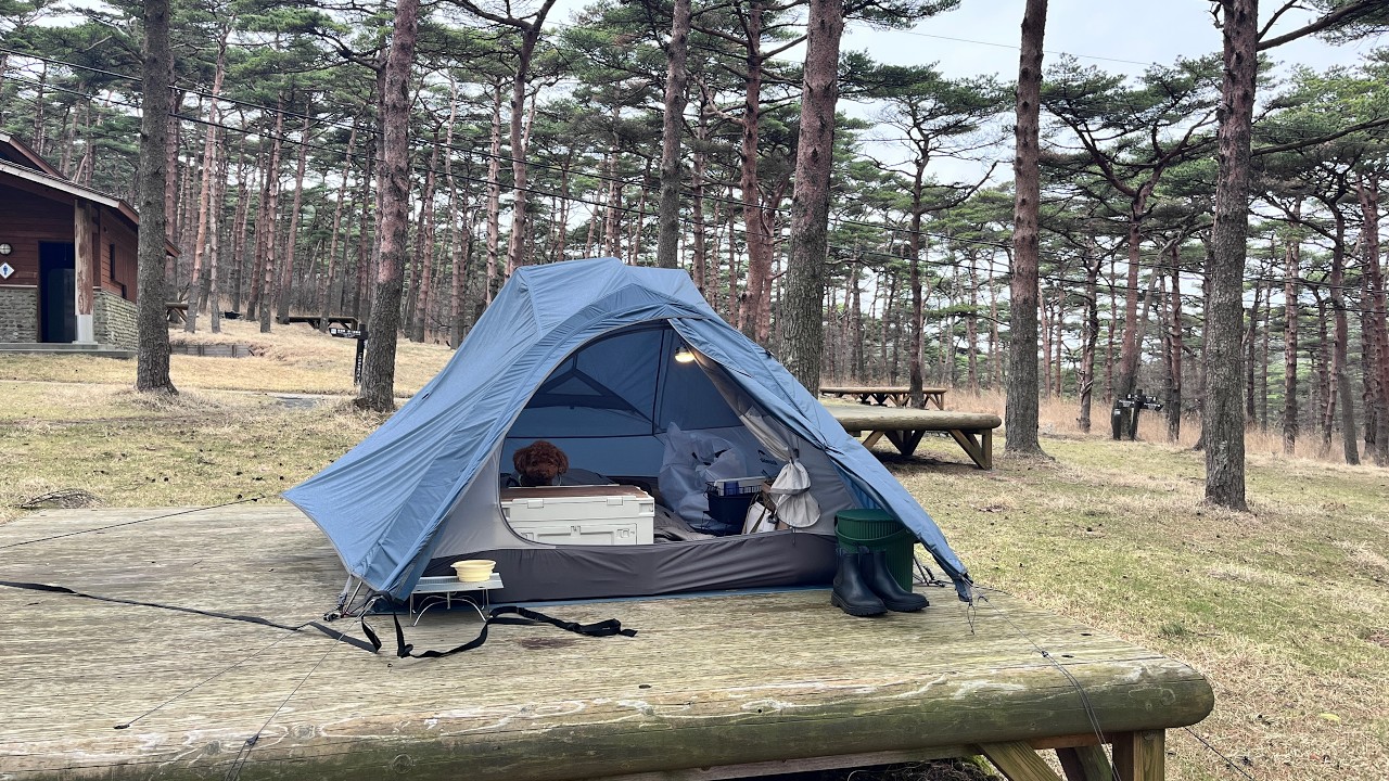 New Tent] My first wood deck site, rainy solo camping with my dog