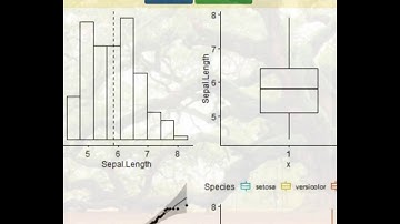 Run R Script - Executre R/Python Scripts One By One