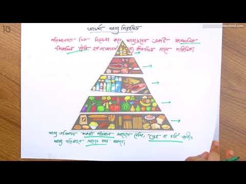 ২৯) অধ্যায় ৫ - খাদ্য,পুষ্টি ও পরিপাকঃ আদর্শ খাদ্য পিরামিড, খাদ্য গ্রহণের নীতিমালা