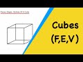 Cubes. How To Work Out The Number Of Faces, Edges, Vertices Of A Cube?