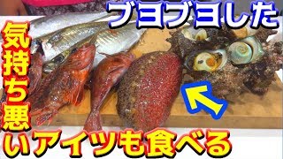 釣ってきたギガアジを軍艦巻きにする！！