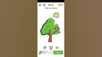 How to wake up the owl in brain out