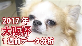 【1週前G1予想】2017年 大阪杯の1週前データ分析【星野るり】
