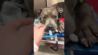 It Takes A Village To Save A Life