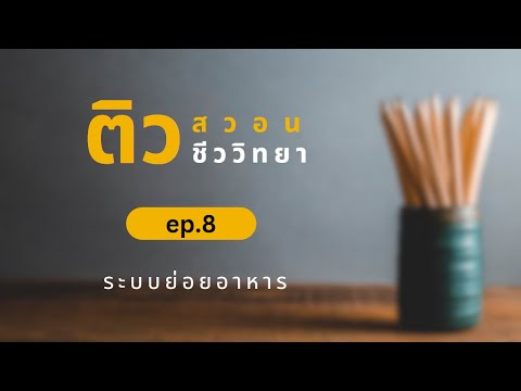 ติวสอวนชีวะ ep8 :ระบบย่อย การพัฒนาการของตัวอ่อน A level