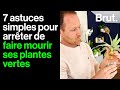 Prendre soin de ses plantes dintrieur cest facile 