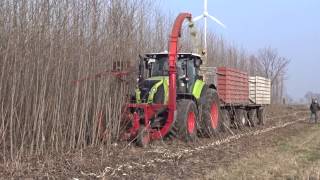 Ernte einer Pappel Kurzumtriebsplantage (KUP) in Wainsdorf (Brandenburg) 17.02.15 (2)