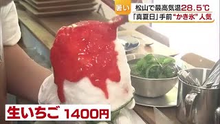 Matsuyama experiences a near-summer temperature of 28.5 degrees