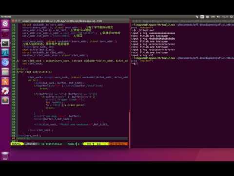 stateless protocol fuzzing demo