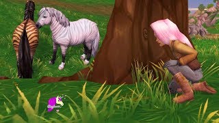 Catching The Zony ! New Zebra Pony Mix Horse Star Stable Online Quest Video Game