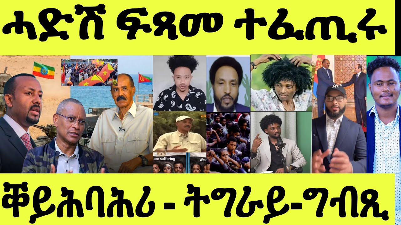 ጽጹይ ሓበሬታ/ መሓሪ መጽዩ/ ተጋሩ ብሓደ ድምጺ/ ቐይሕ ባሕሪ ክህበኪ/ ግርማይ ዓንዶም/ ግብጺ/ ጠበቓታት