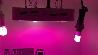 New light in the veg room