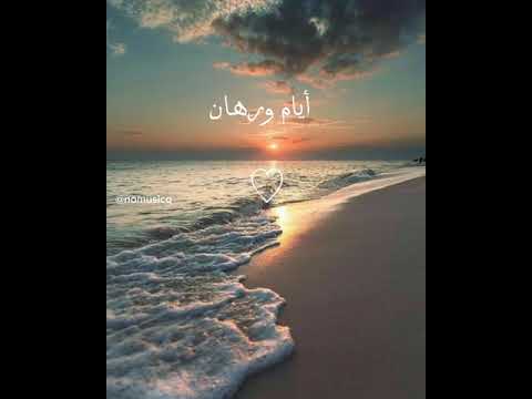 والشاطر هو اللي يعافر
