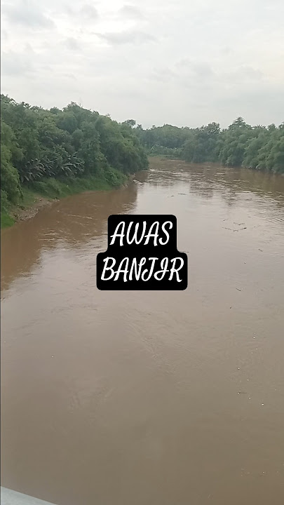 explore sungai bengawan solo part 1 #sawah