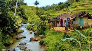 Tak di Sangka., Serpihan Surga Ada di Kampung Ini, Hanya Ada Dua Rumah di Tengah Sawah.