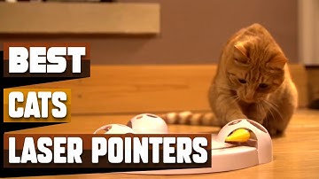 Best Cat Laser Pointer In 2025 - Top 10 Cat Laser Pointers Review