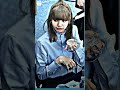 That cute poker face *Credits to the original creator* #lisa #shorts