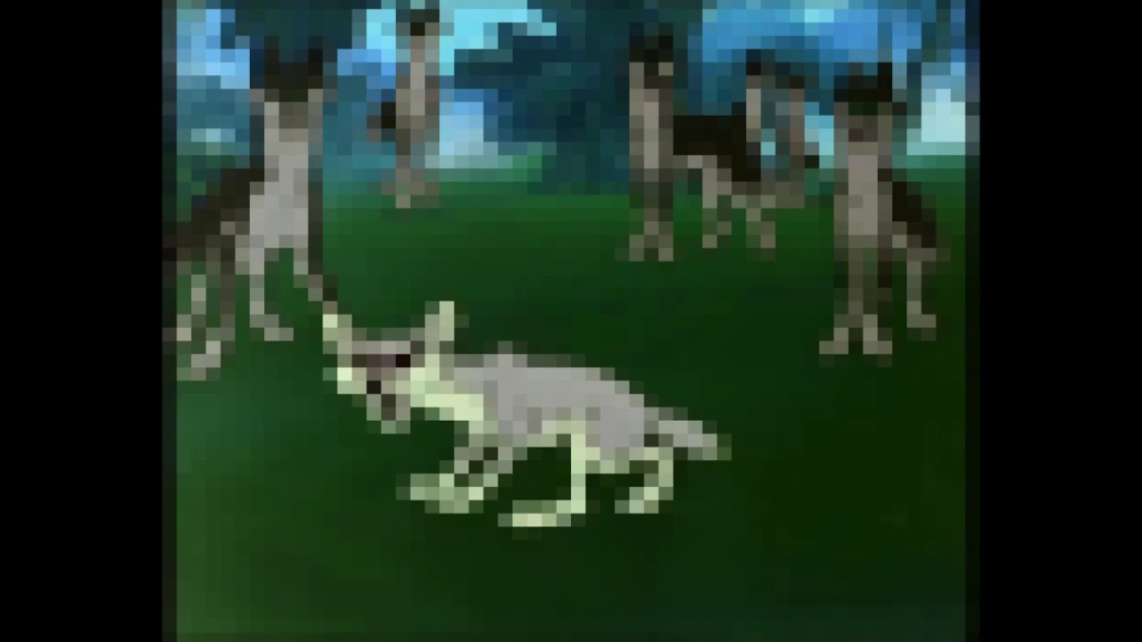 Шакалить изображение онлайн