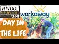 My Last WWOOF Hawaii: Day in the Life