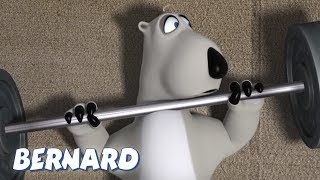 Bernard Bear | The Gym AND MORE | 30 min Compilation | Cartoons for Children