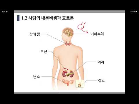 [생명과학1] 3.4 (PART1) 내분비계와 호르몬의 특성(개념정리)