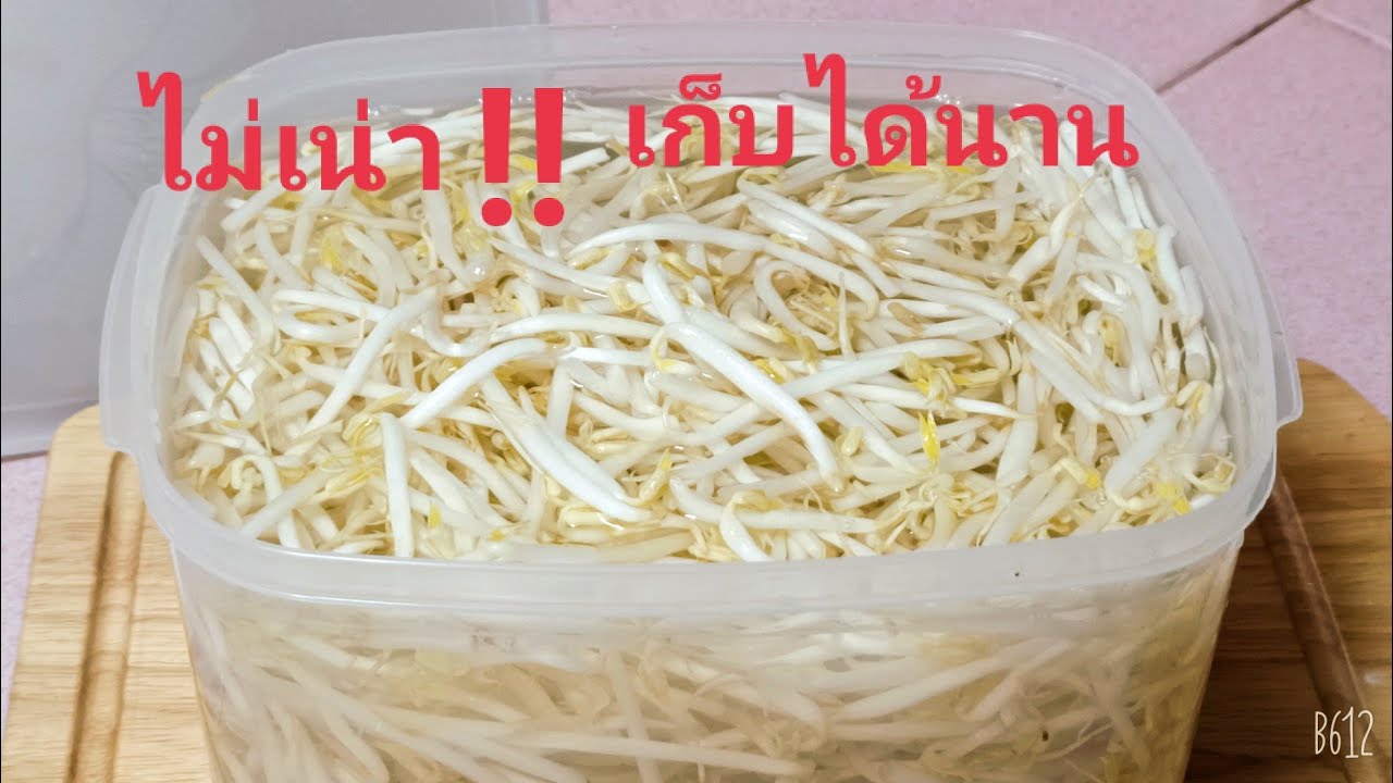 วิธีเก็บถั่วงอกให้ไม่เน่า!สดกรอบอร่อยเก็บได้นานหลายวัน