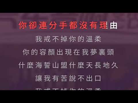 戒不掉你的温柔 六哲 伴奏 karaoke