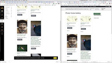 Canvas and WordPress iFrame Integration