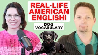 REALLIFE AMERICAN ENGLISH / VOCABULARY WITH PETS / DOGS AND CATS / ENGLISH AMERICAN PRONUNCIATION