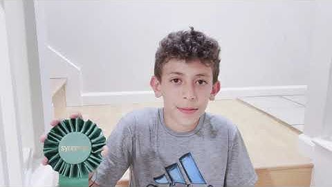 Winglets In Wind Tunnels - Science Fair Project 2022